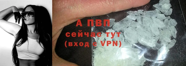 тгк Верея