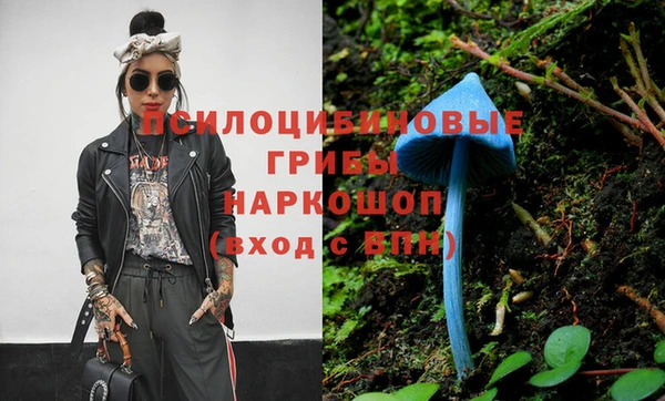 тгк Верея