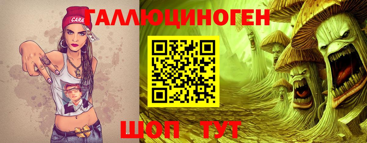 Галлюциногенные грибы Cubensis Медногорск