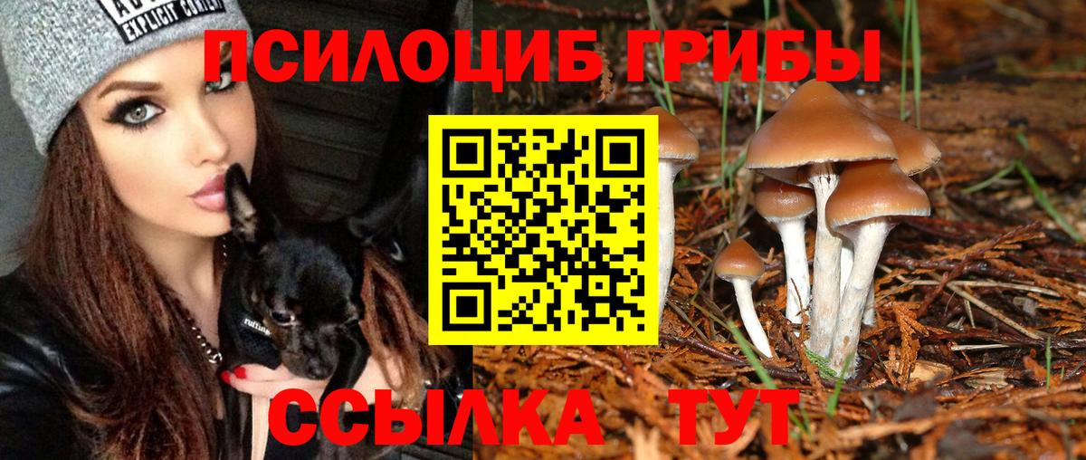 Галлюциногенные грибы ЛСД  хочу   Медногорск 
