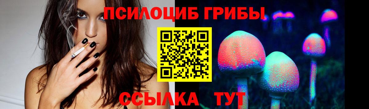Медногорск  Галлюциногенные грибы MAGIC MUSHROOMS  Галлюциногенные грибы GOLDEN TEACHER  Вход с VPN 